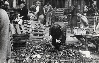 Woman picking up litters from the ground after the market