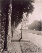 Atget, Statue under the trees in Versailles