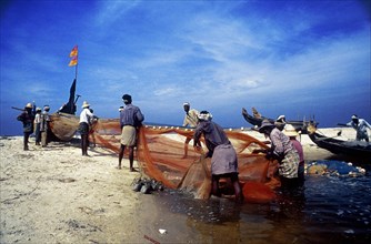 Arrivée des pêcheurs au port, Kerala, Inde