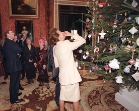 Buc Palace Xmas Tree