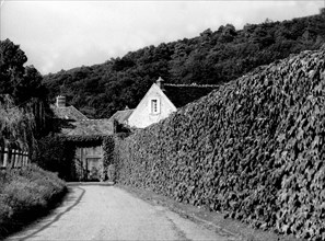 Duke And Ducherss Windsor