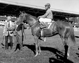 Entertainment News - May 6, 2005