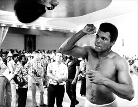 Ali The Greatest : 1942 – 2016