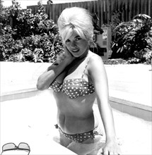 Jayne Mansfield Poses at the Swimming Pool