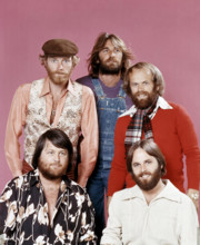 The Beach Boys