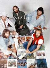 The Beach Boys