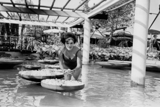 Connie Francis 1937-2025 American Singer Actress