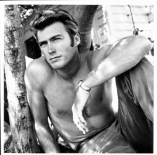 Hollywood Legends in Swim Suit's