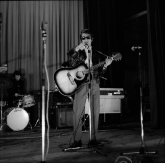 Jacques Dutronc, 1966