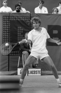 Mats Wilander, 1982
