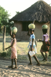 Watermelon Girls
\n