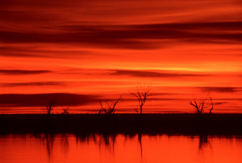Red sunset Chobe River
\n