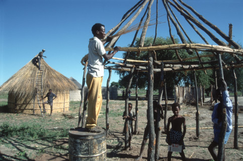 Traditional House Building