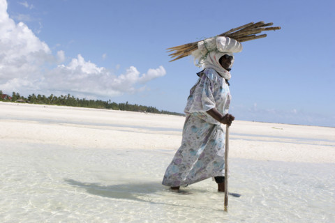 Zanzibar