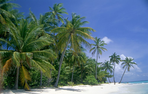 BEACH SCENE, MEERU, MALDIVES