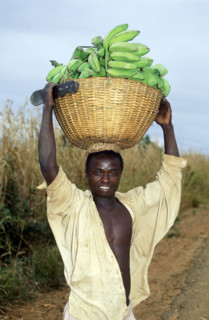 FRUIT SELLER, MOZAMBIQUE