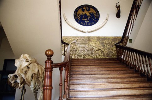 Museu da Historia Natural