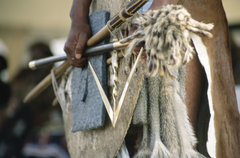 Shaka Day celebrations