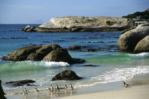 Boulder's Beach