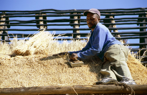 Thatching