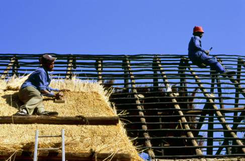 Thatching