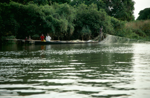 Bamako is not even half way along the length of the Niger River yet even here it is a large body of