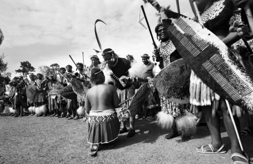 Shaka Day celebrations