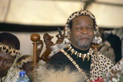 Shaka Day celebrations