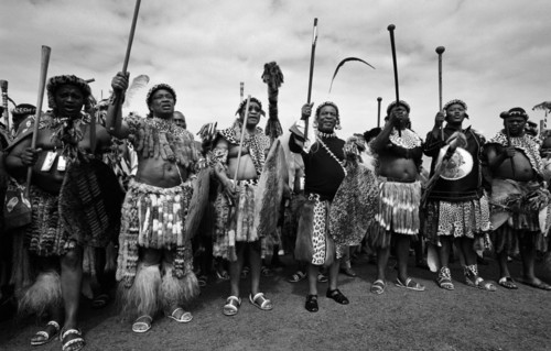 Shaka Day celebrations