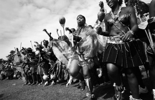 Shaka Day celebrations