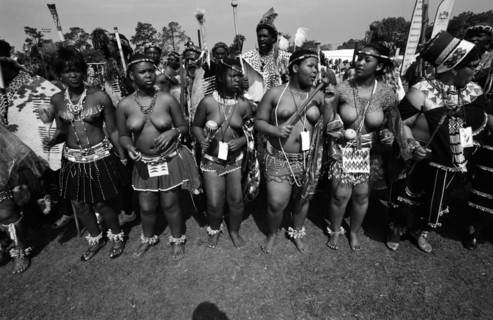 Shaka Day celebrations