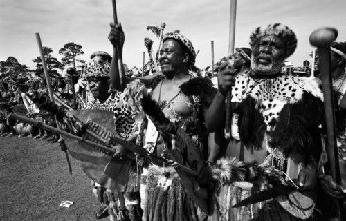 Shaka Day celebrations