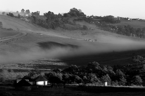 Fog nets