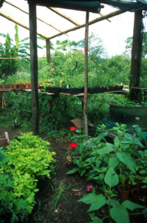 permaculture