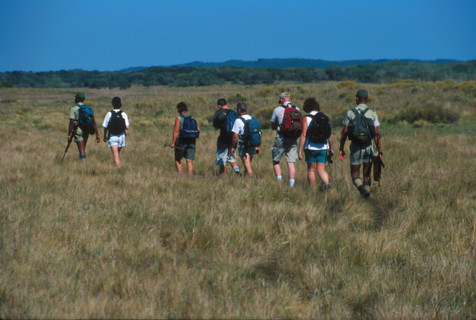 hiking with rangers