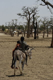 Darfur