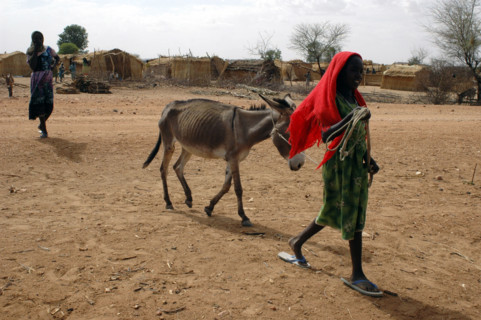 Darfur