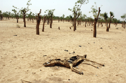 Darfur
