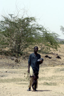 Niger