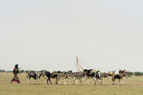 Niger