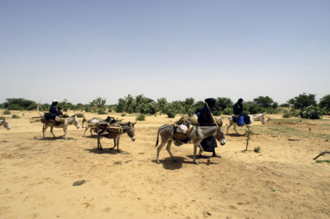 Niger