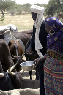 Niger