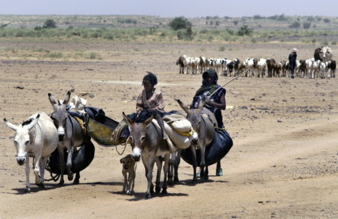 Niger