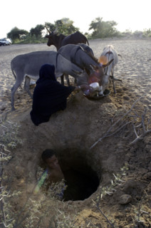 Niger