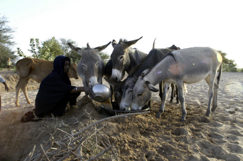 Niger