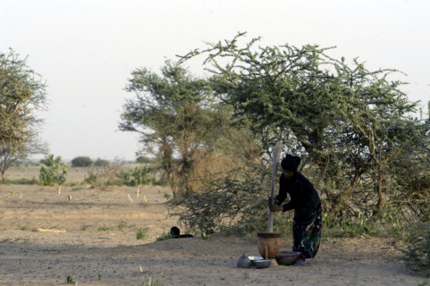 Niger