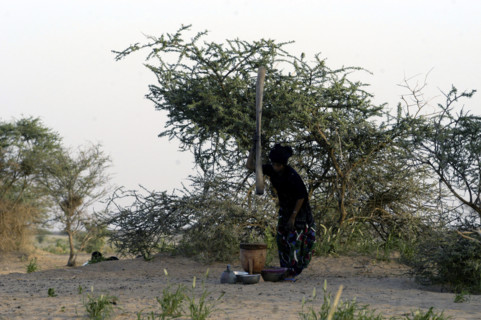 Niger
