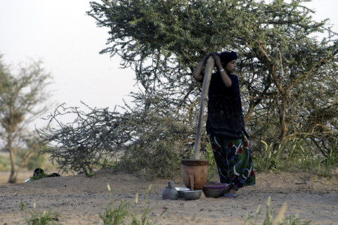 Niger