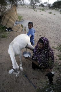 Niger