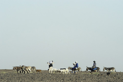 Niger